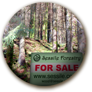 Forests & Woodland For Sale